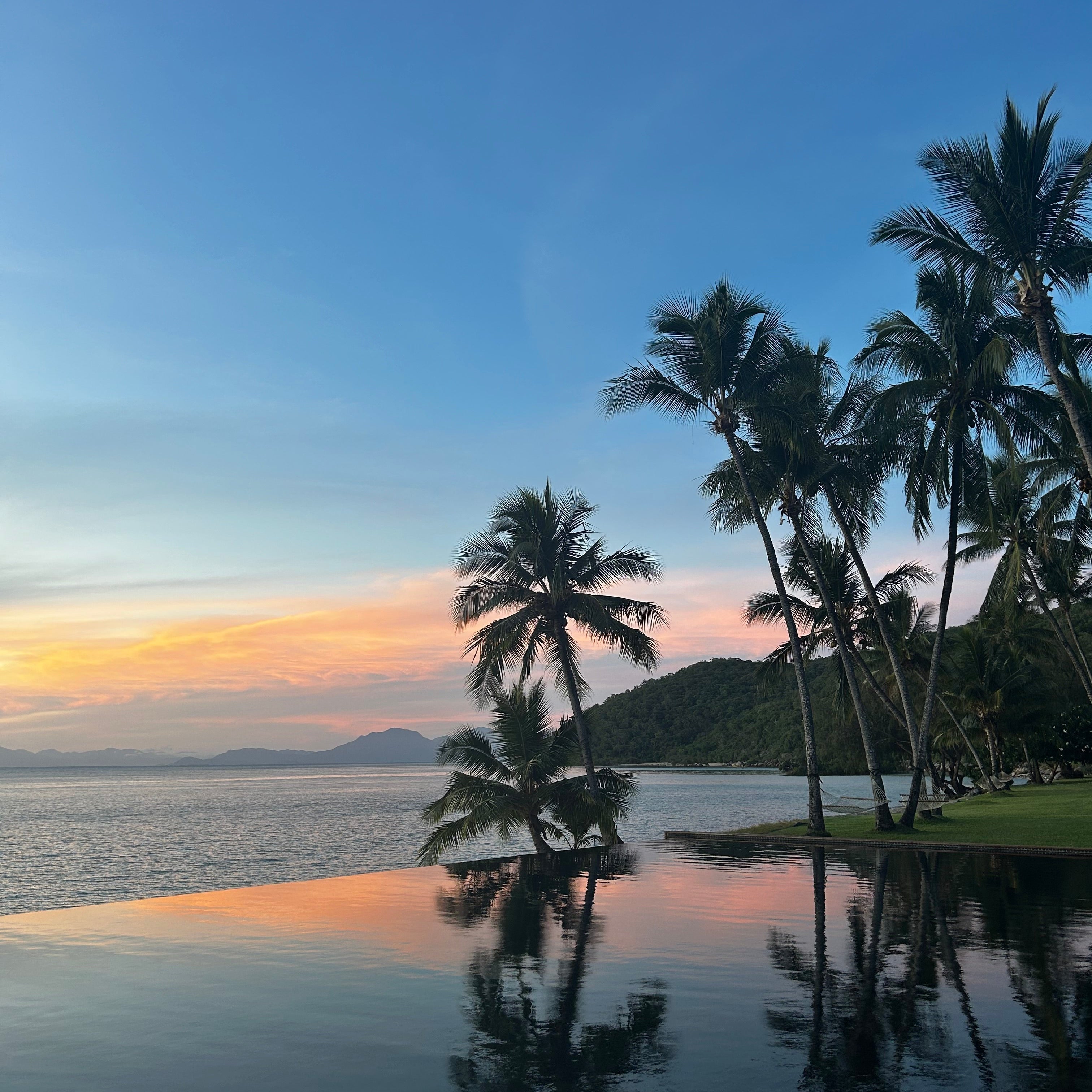 From Notes App to Isla: How an Idea Became a Brand